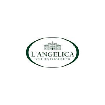 LAngelica