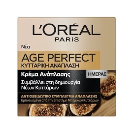 L oreal Age Perfect Cell Renew Day Cream, Κρέμα Προσώπου Ημέρας για Ανάπλαση της Επιδερμίδας, 50ml