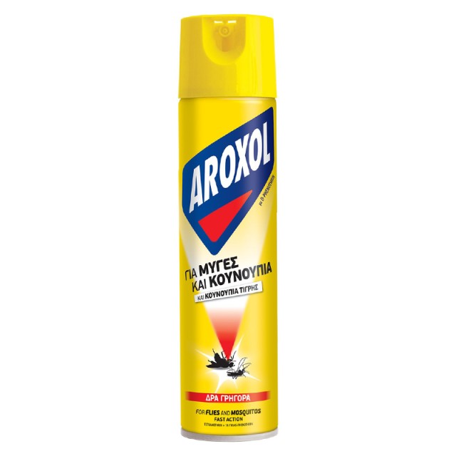 Aroxol Plus Εντομοκτόνο Σπρέι για Μύγες & Κουνούπια, 300ml