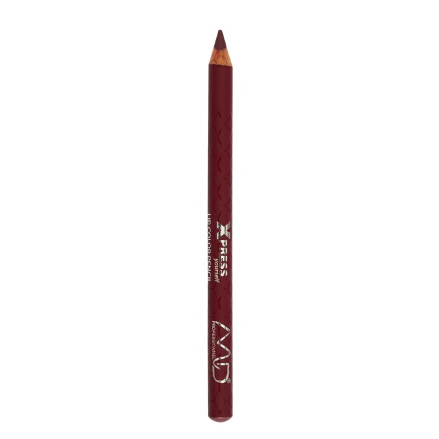 MD Professionnel Xpress Yourself Lip Color Pencil L234 2gr