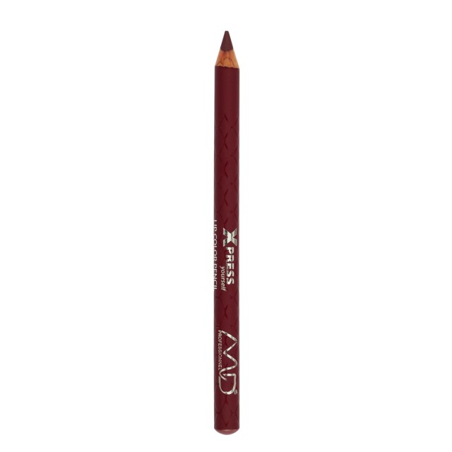MD Professionnel Xpress Yourself Lip Color Pencil L234 2gr