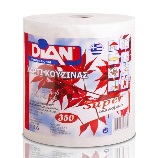 Dian Professional, Χαρτί Κουζίνας 2φυλλο 350γρ, 1τμχ