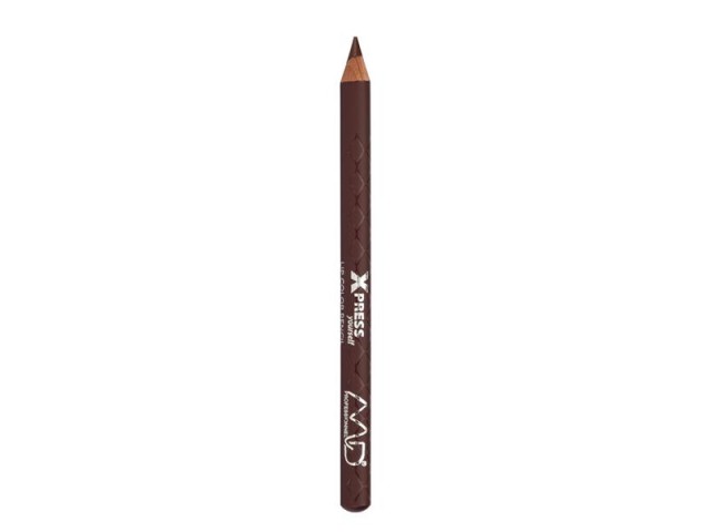 MD Professionnel Xpress Yourself Lip Color Pencil L239 2gr
